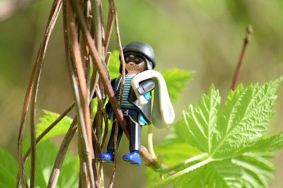 Playmobilfigur als Dieb klettert Pflanze hoch