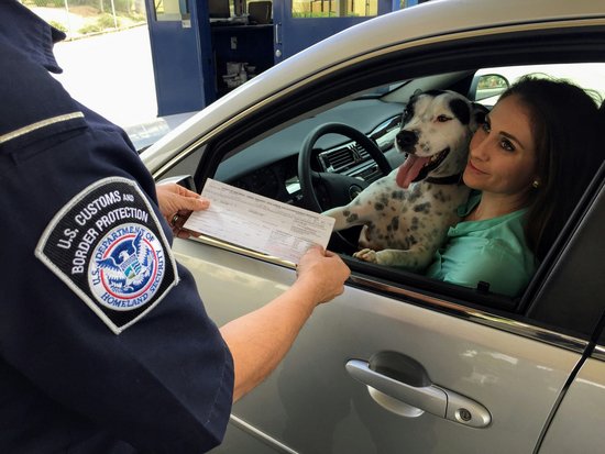 Eine Frau im Auto sitzend, mit Hund auf dem Schoß währen einer US-Grenzkontrolle